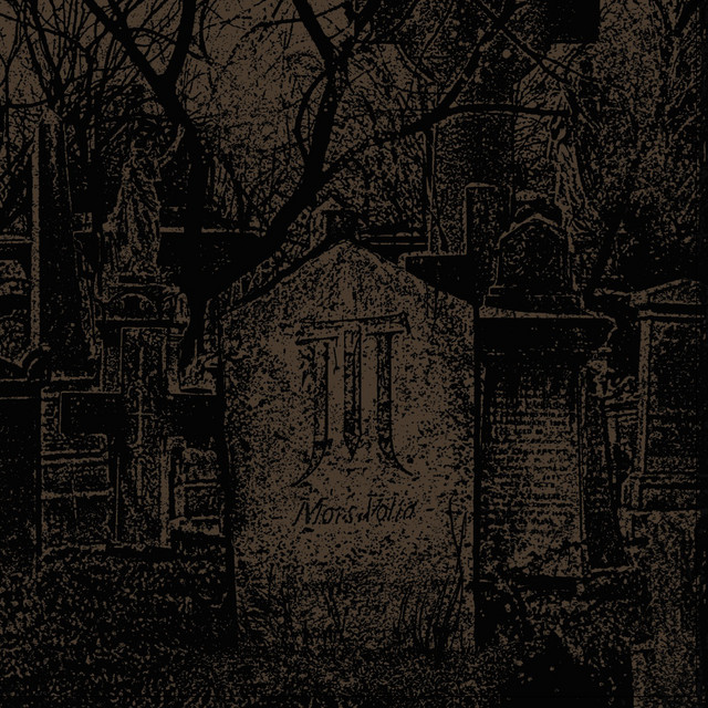 Mors Volta cover
